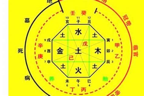 八字忌什麼|八字算命基礎：八字用神，喜神，忌神，仇神，閒神，都是什麼意。